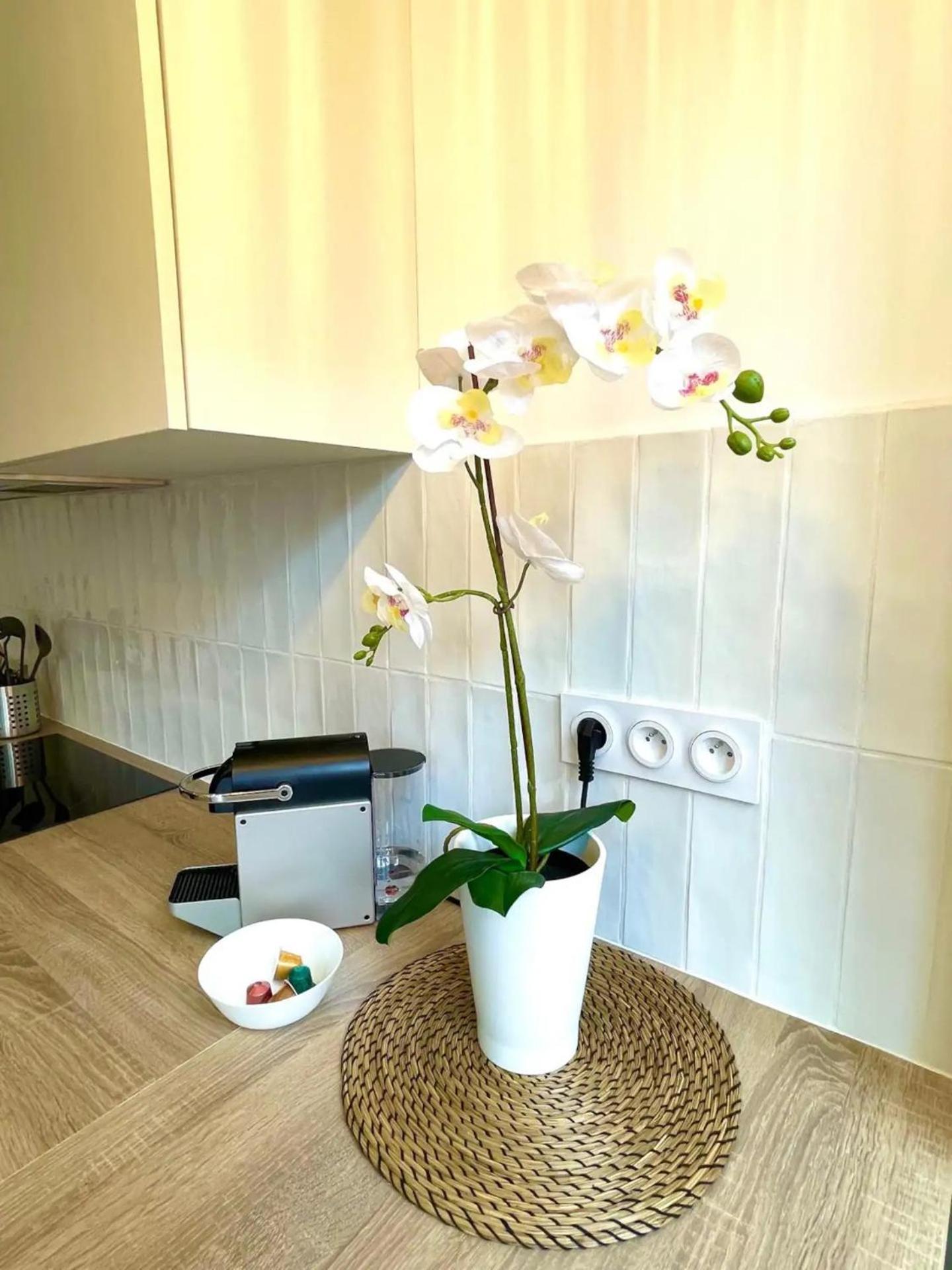 Climatisation, Ascenseur R5 Sublime T2 Neuf Apartment *