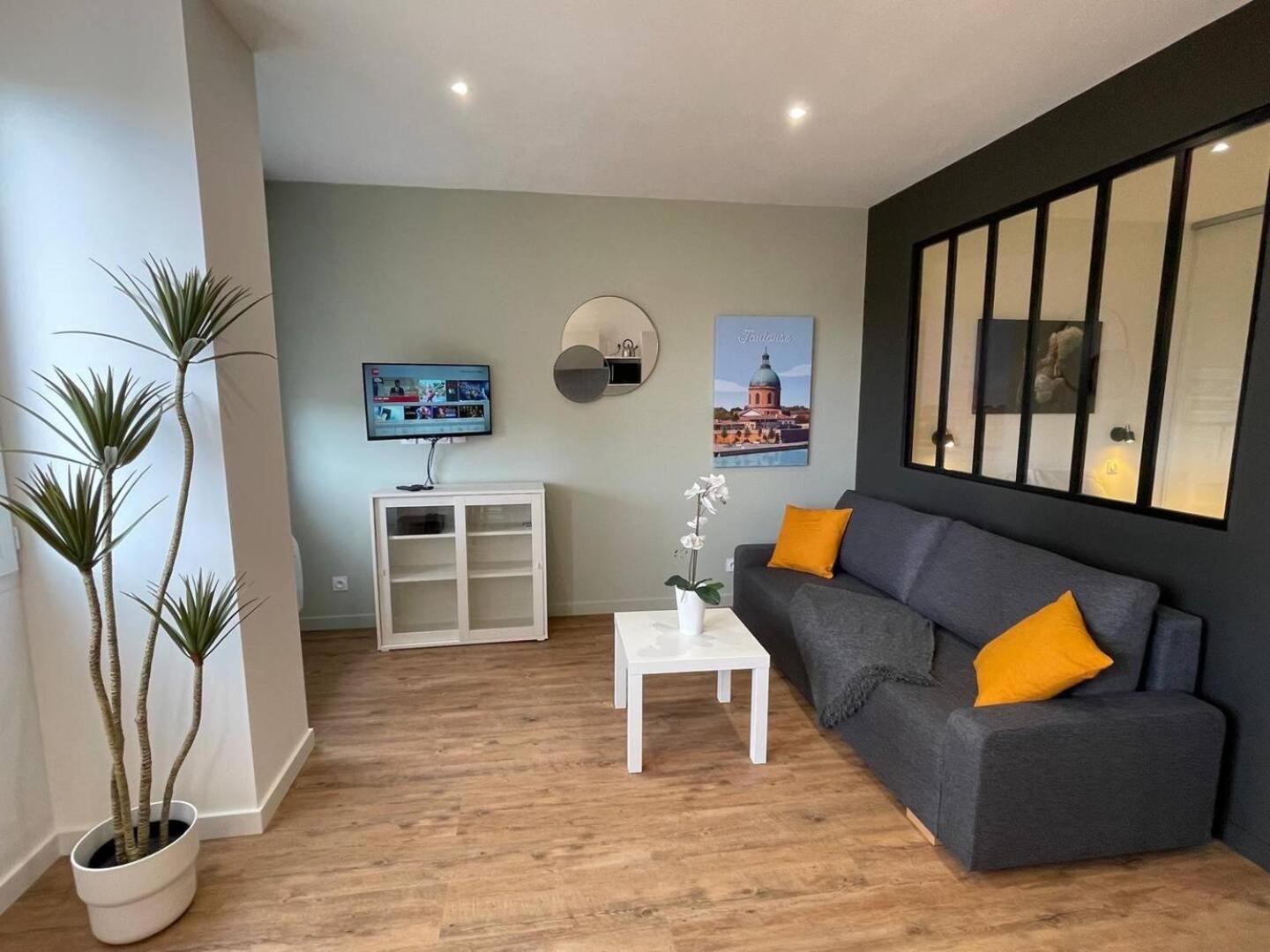 Apartment Climatisation, Ascenseur R5 Sublime T2 Neuf Toulouse